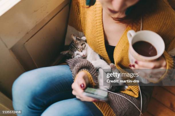 cozy home - cat and owner stock pictures, royalty-free photos & images