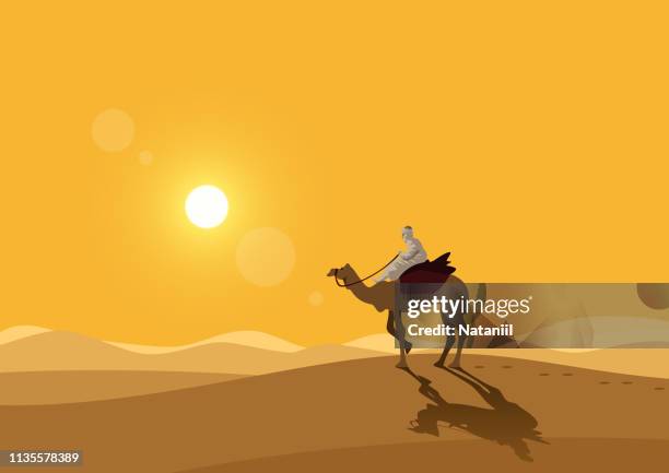 illustrazioni stock, clip art, cartoni animati e icone di tendenza di deserto - camel