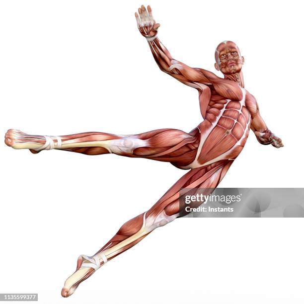 3 Body Rendering 61 Human Body 3d Render Stock Photos, High-Res Pictures, and Images ...