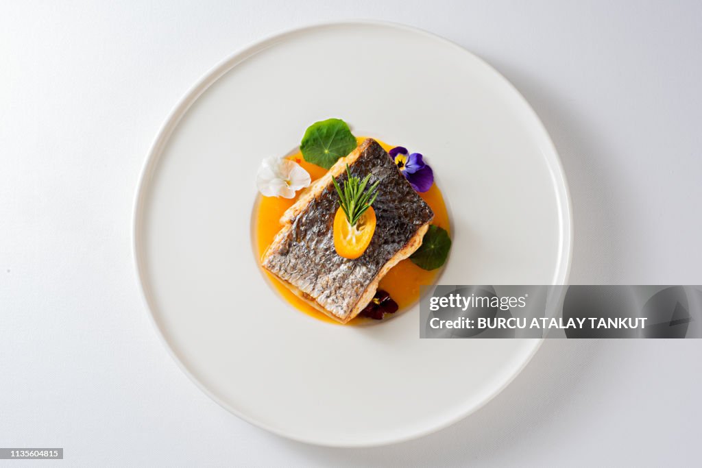 Fine Dining Grilled Sea Bass