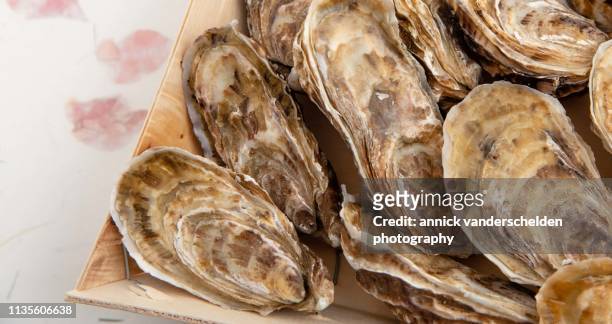 oysters - se stockfoto's en -beelden