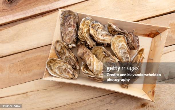 oysters - cancale bildbanksfoton och bilder