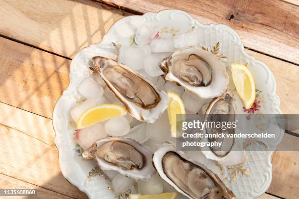 oysters and lemon - cancale stock pictures, royalty-free photos & images