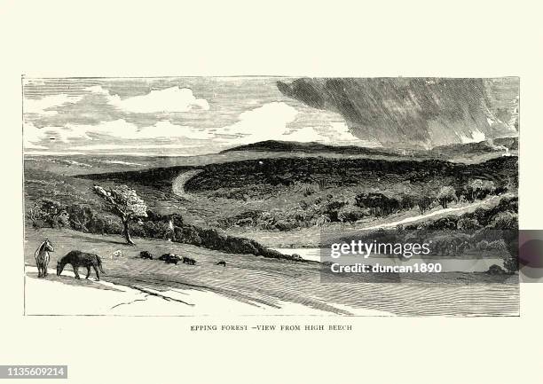 epping forest, from high beech, 19th century - essex stock illustrations