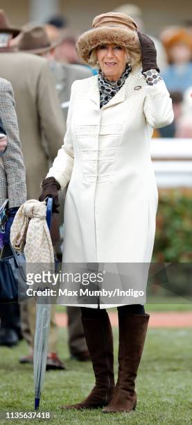 Camilla, Duchess of Cornwall attends day 2 'Ladies Day' of the Cheltenham Festival at Cheltenham Racecourse on March 13, 2019 in Cheltenham, England.