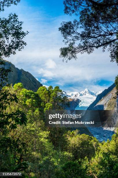 fox glacier, south island, new zealand. - national park stock pictures, royalty-free photos & images