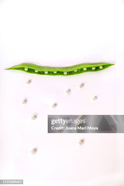 green bean pod with pearls in interior. conceptual photography. suggest a smile with teeth - oyster pearl stock pictures, royalty-free photos & images