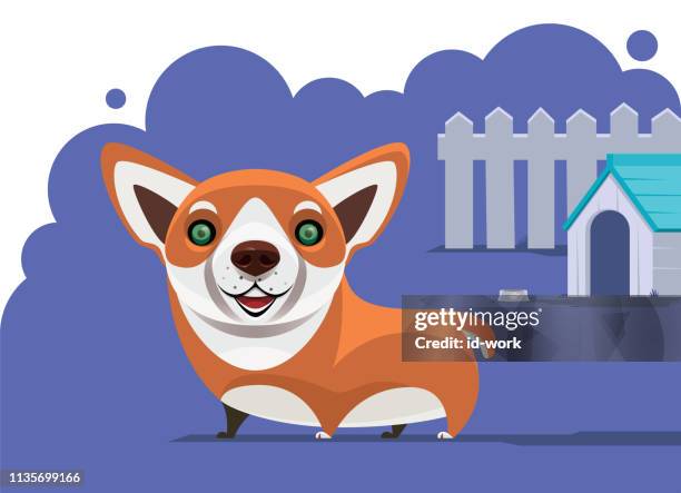 smiling corgi - kennel stock illustrations