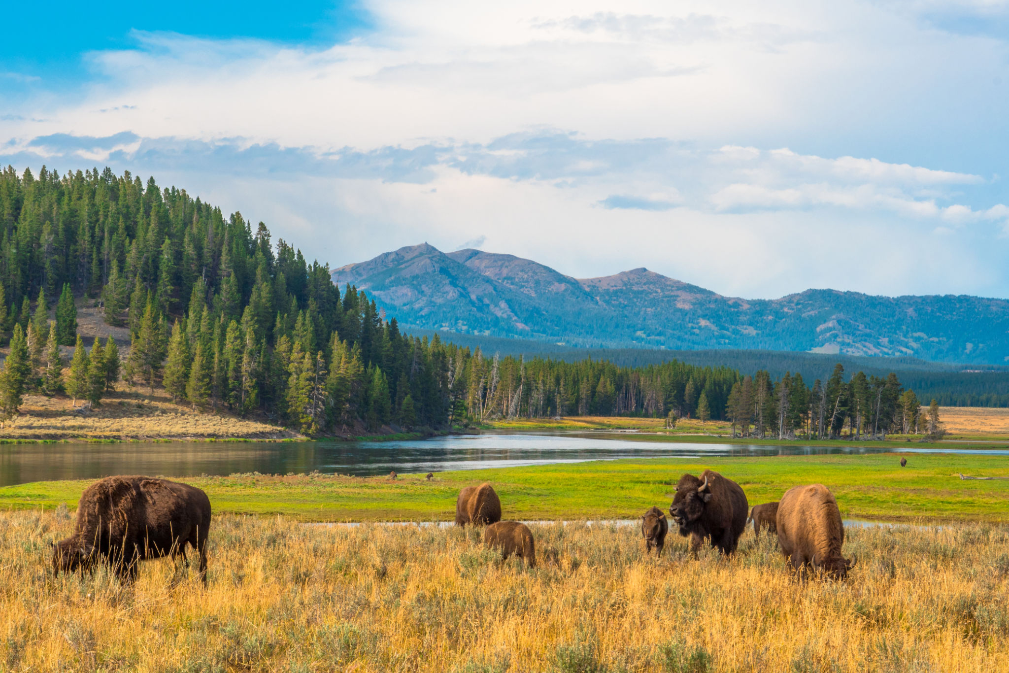 wyoming countryside