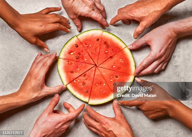 many hands reaching for a slice of watermelon over a grey surface. cape town, south africa. mar 2019. - vegetarisch gerecht stock-fotos und bilder