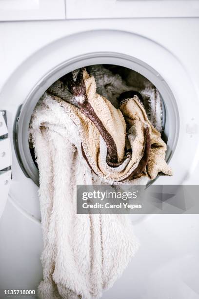 white clothes in open washing machine - wasserglas stockfoto's en -beelden