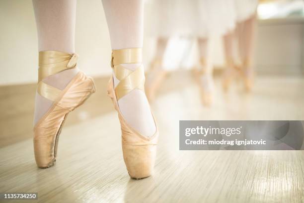 tiptoes - ballet shoe stock pictures, royalty-free photos & images