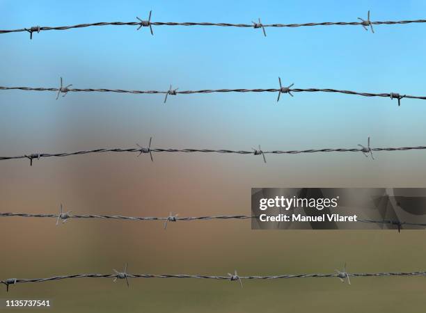 barbed fence - barbed wire imagens e fotografias de stock