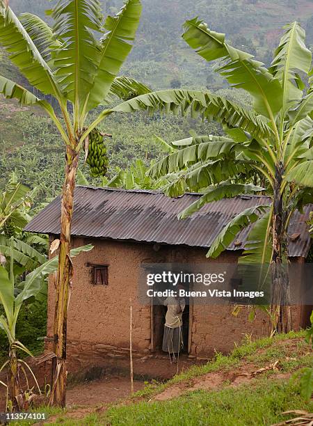 a burundi's woman in her home. - burundi ostafrika stock-fotos und bilder