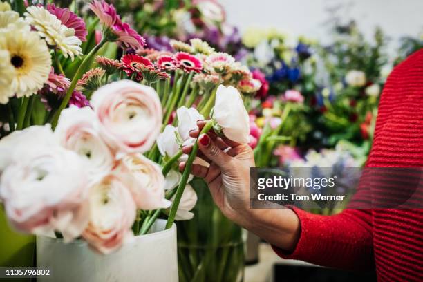 woman picking up rose while out shopping - flower shop stockfoto's en -beelden