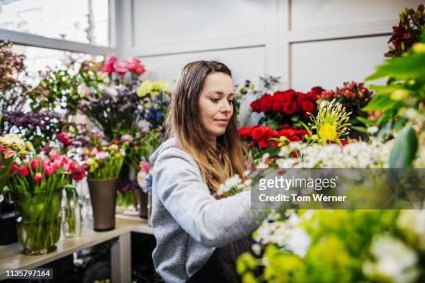 florist working in her shop taking care of flowers - differential focus fotografías e imágenes de stock