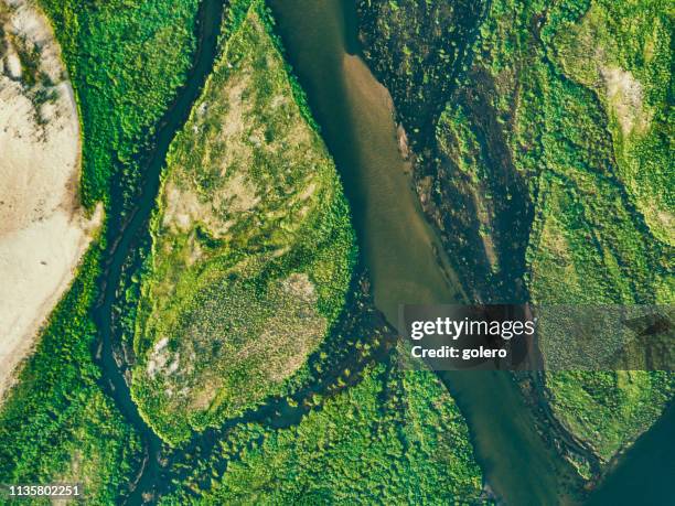 luchtfoto op de groene eilanden zambezi rivier - organisation environnement stockfoto's en -beelden