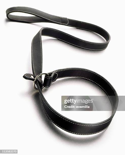 leash cut out on white - dog leash stock pictures, royalty-free photos & images
