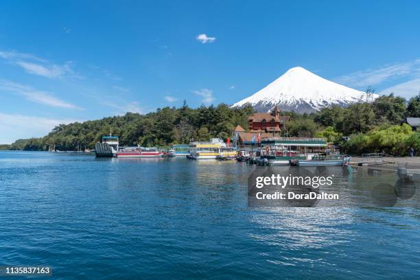 rio de petrohué no distrito chilean do lago-puerto varas, o chile - petrohue river - fotografias e filmes do acervo