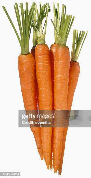 carrots cut out on white - carrot isolated stock pictures, royalty-free photos & images