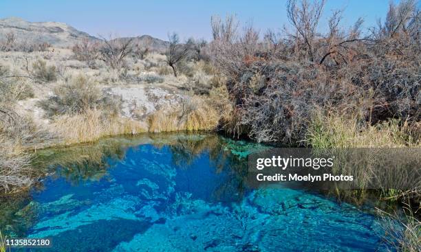 13 Ash Springs Nevada Stock Photos, High-Res Pictures, and Images ...
