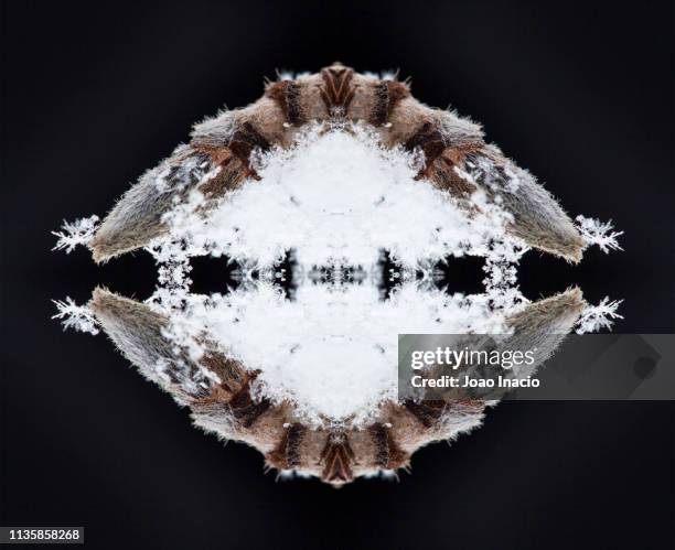 Snowflake Instrument 135 Kaleidoscope Instrument Stock Photos, High-Res Pictures, and Images ...
