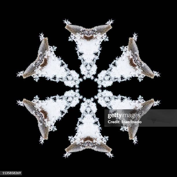 Snowflake Instrument Kaleidoscope Instrument Photos and Premium High Res Pictures - Getty Images