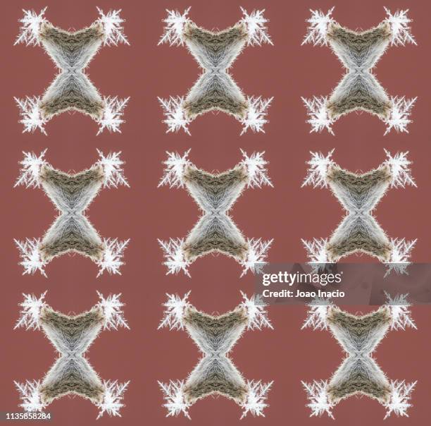 Snowflake Instrument 135 Kaleidoscope Instrument Stock Photos, High-Res Pictures, and Images ...