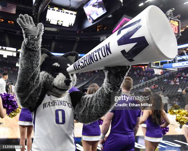 The Washington Huskies mascot Harry the Husky jokes around with a cheerleader's megaphone before a quarterfinal game of the Pac-12 basketball...