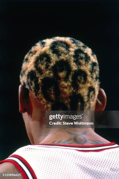 Dennis Rodman of the Chicago Bulls looks on during the game against the Golden State Warriors on January 10, 1998 at the United Center in Chicago,...