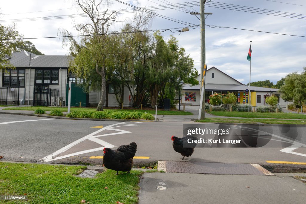 Multiple Fatalities Following Christchurch Mosque Shootings