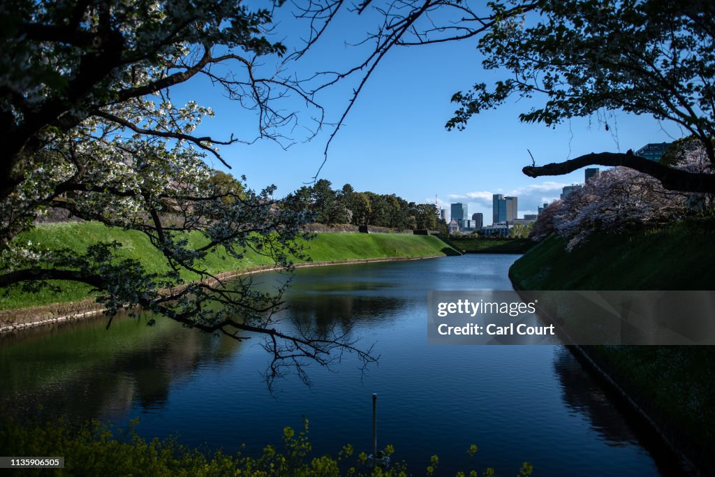 Daily Life Around Tokyo's Imperial Palace