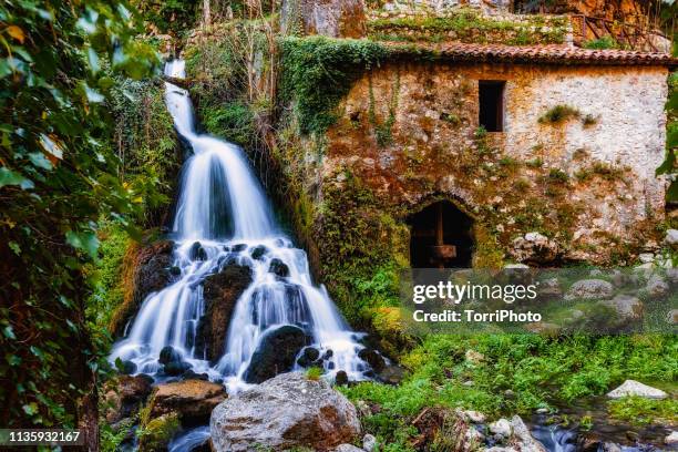 Mill Stream Mill Stream Nature Reserve Photos and Premium High Res Pictures - Getty ...