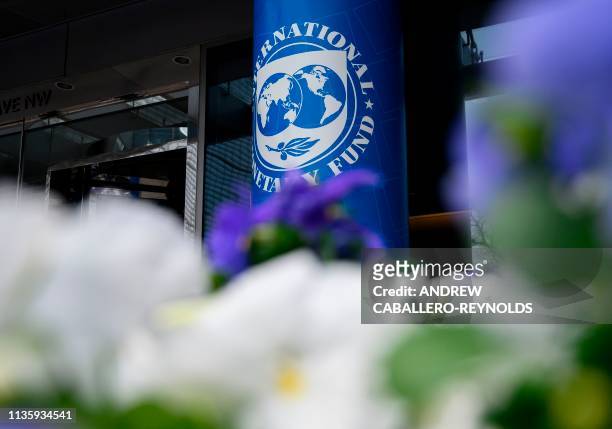 The International Monetary Fund logo is seen through a flower bed during the IMF/ World Bank Spring Meetings in Washington, DC on April 9, 2019. -...