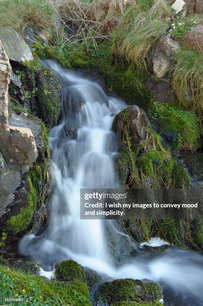 Pembrokeshire Stream