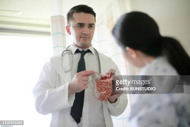 doctor showing intestine model to patient in office - colon cancer fotografías e imágenes de stock