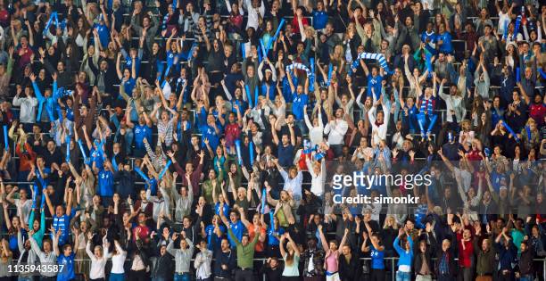 spectators watching match in stadium - crowd of people stock pictures, royalty-free photos & images