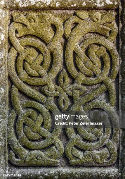 ancient celtic relief of snakes or dragons, ireland - celtic style stockfoto's en -beelden