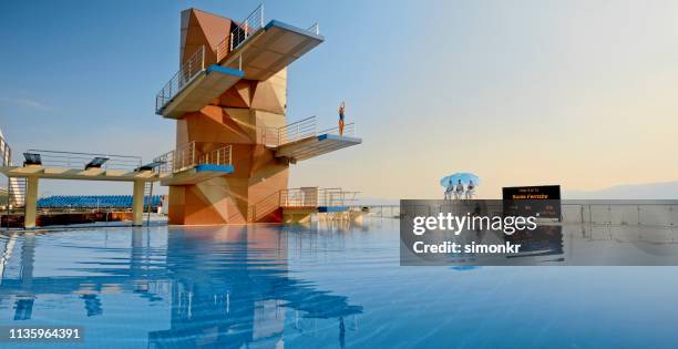 female diver standing on diving board before jump - diving board stock pictures, royalty-free photos & images