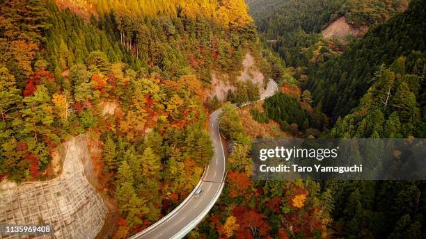 go the way of autumn leaves - koya san stock pictures, royalty-free photos & images