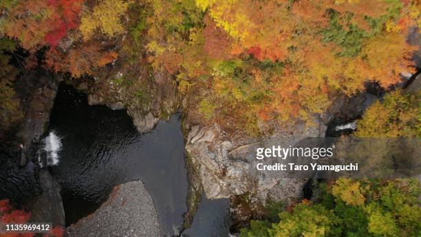 autumn leaves and waterfalls - koya san stock pictures, royalty-free photos & images