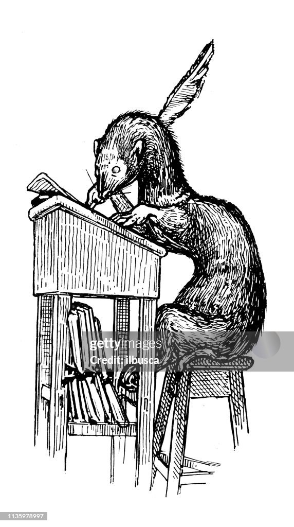 Antique Art Nouveau illustration by Archie MacGregor from children book: Otter writing