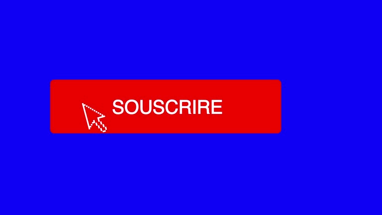 French Subscribe Button 57 French Language Icons Stock Videos, Footage, & 4K Video Clips ...