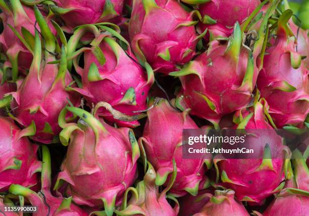 pitaya - dragon fruit - pitaya stock pictures, royalty-free photos & images