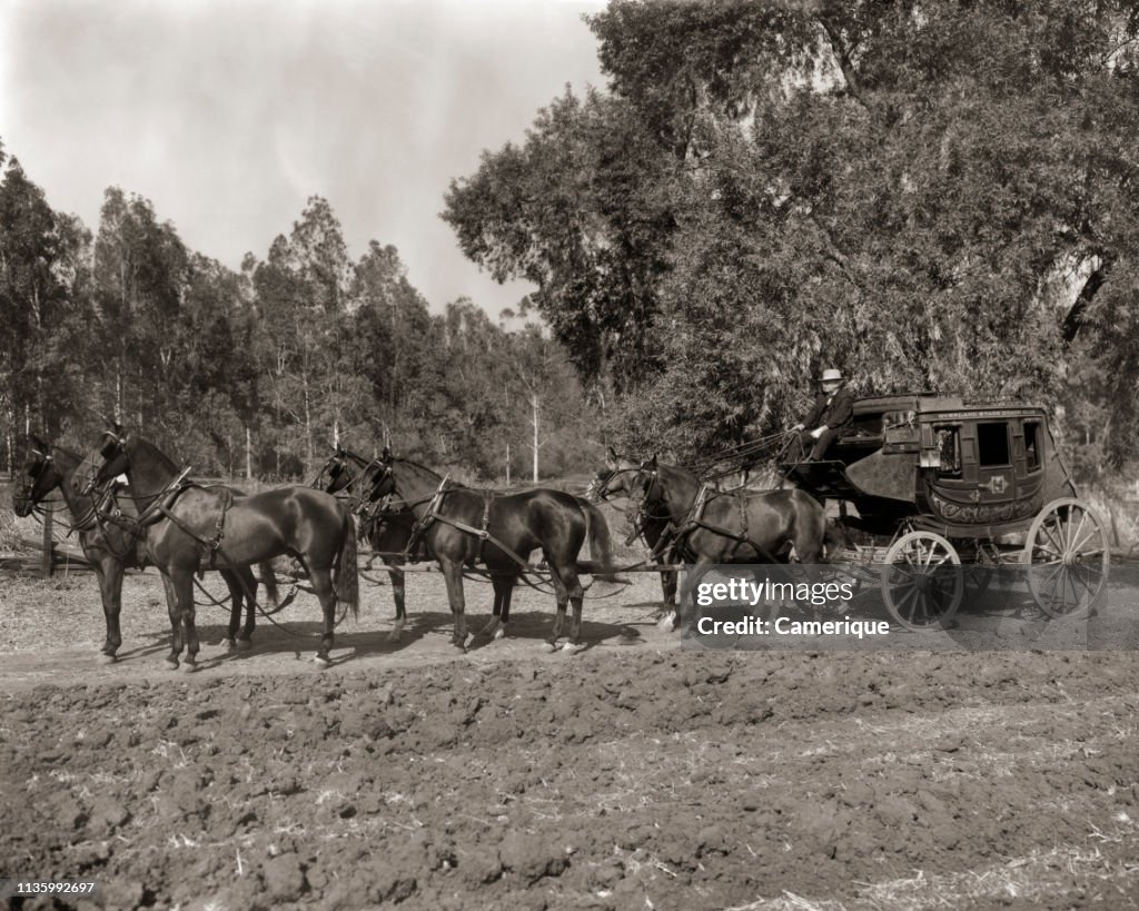 1890s WESTERN STYLE...