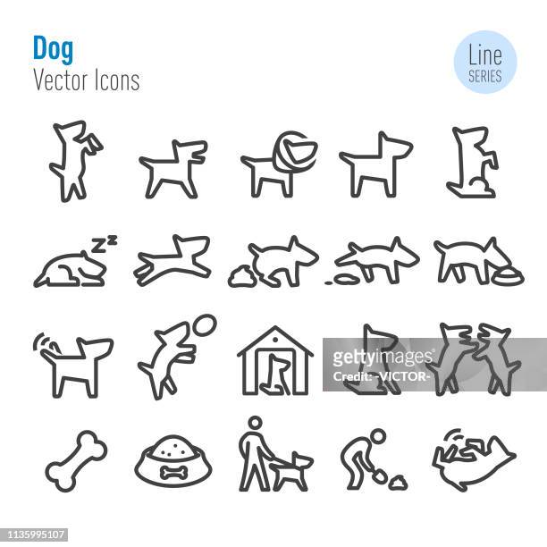 dog icons - vector line series - pet equipment stock illustrations