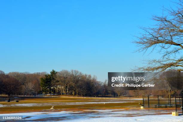 prospect park - prospect park stock-fotos und bilder