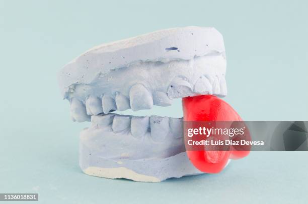 dental mold of a male patient with a jelly - jello mold stock pictures, royalty-free photos & images