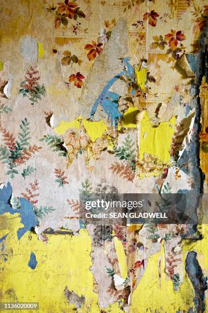 wallpaper layers - peinture écaillée photos et images de collection