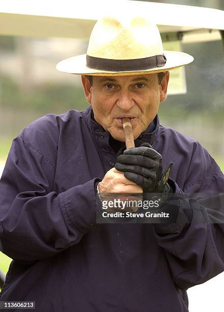 Joe Pesci during 4th Annual Elizabeth Glaser Pediatric AIDS Foundation Celebrity Golf Classic Sponsored By Mossimo & Mercedes-Benz at Riviera Country...